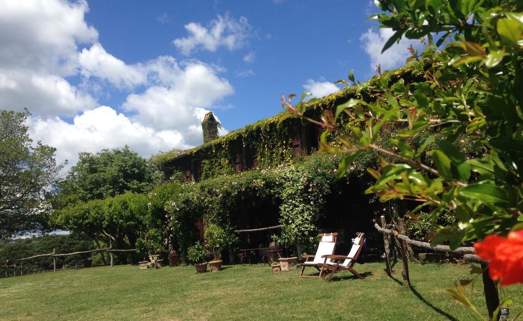 Lubriano Bed And Breakfast Dopo Il Settimo Cielo المظهر الخارجي الصورة