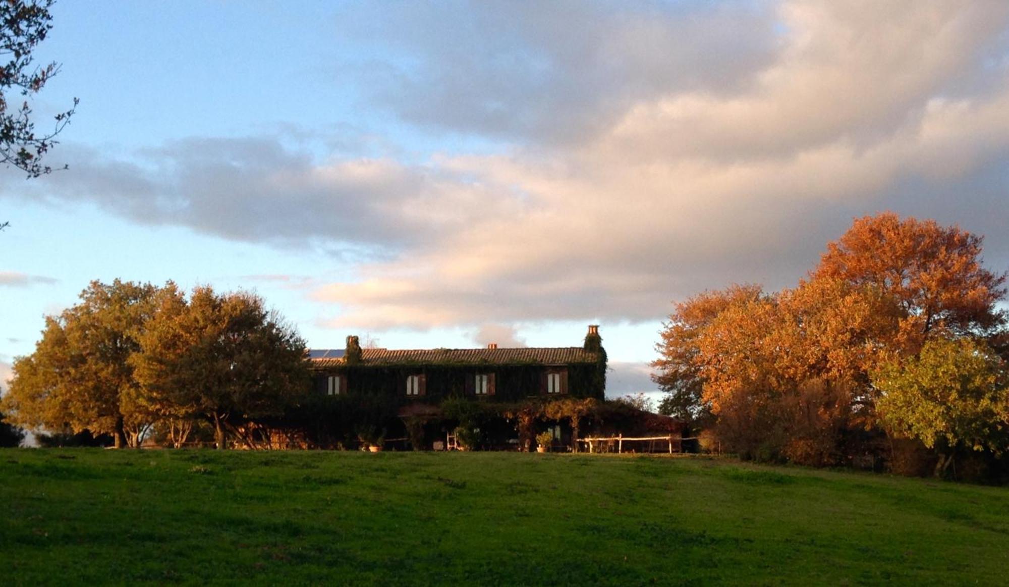 Lubriano Bed And Breakfast Dopo Il Settimo Cielo المظهر الخارجي الصورة