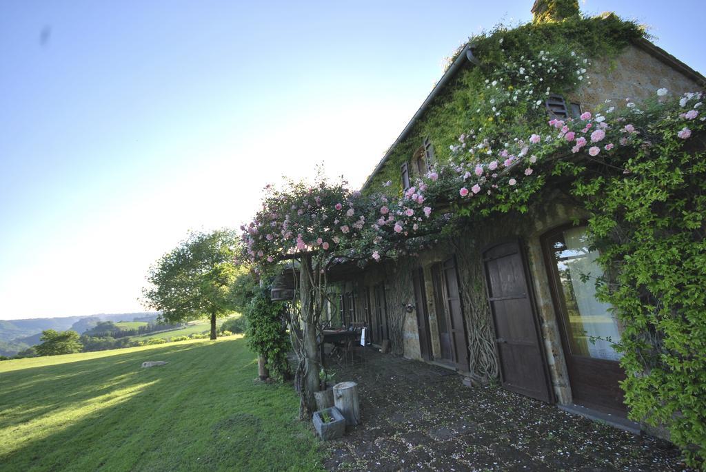 Lubriano Bed And Breakfast Dopo Il Settimo Cielo المظهر الخارجي الصورة