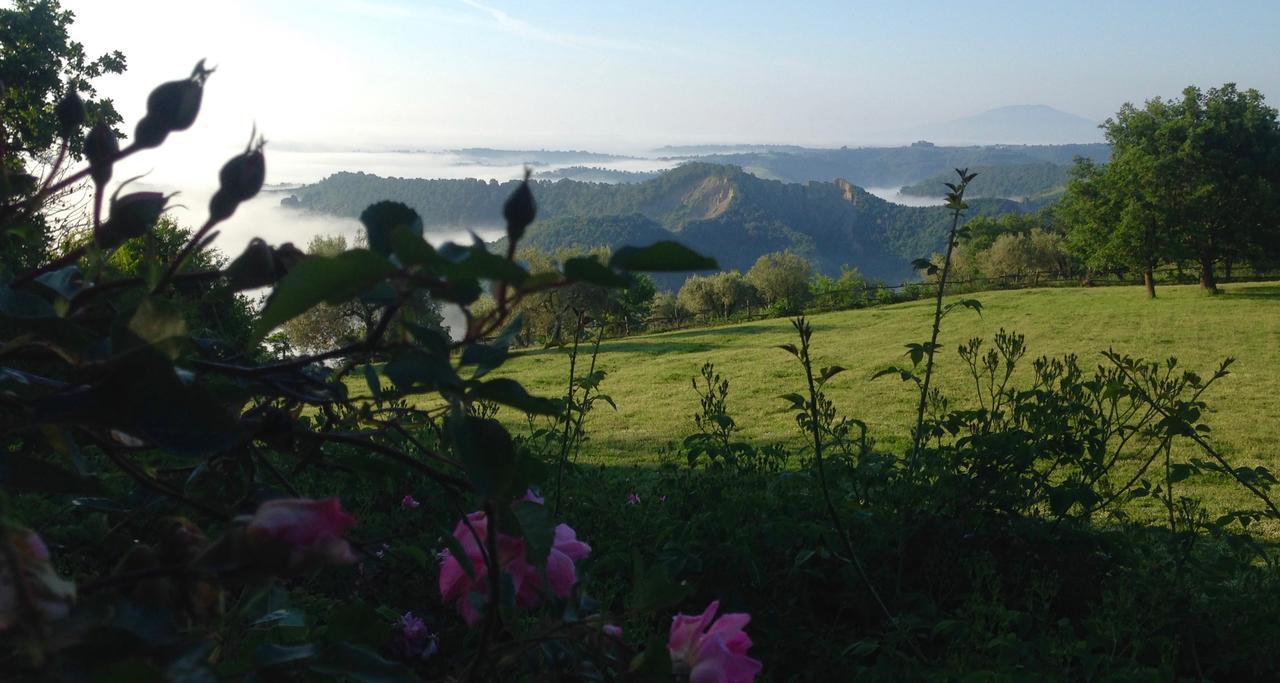 Lubriano Bed And Breakfast Dopo Il Settimo Cielo المظهر الخارجي الصورة