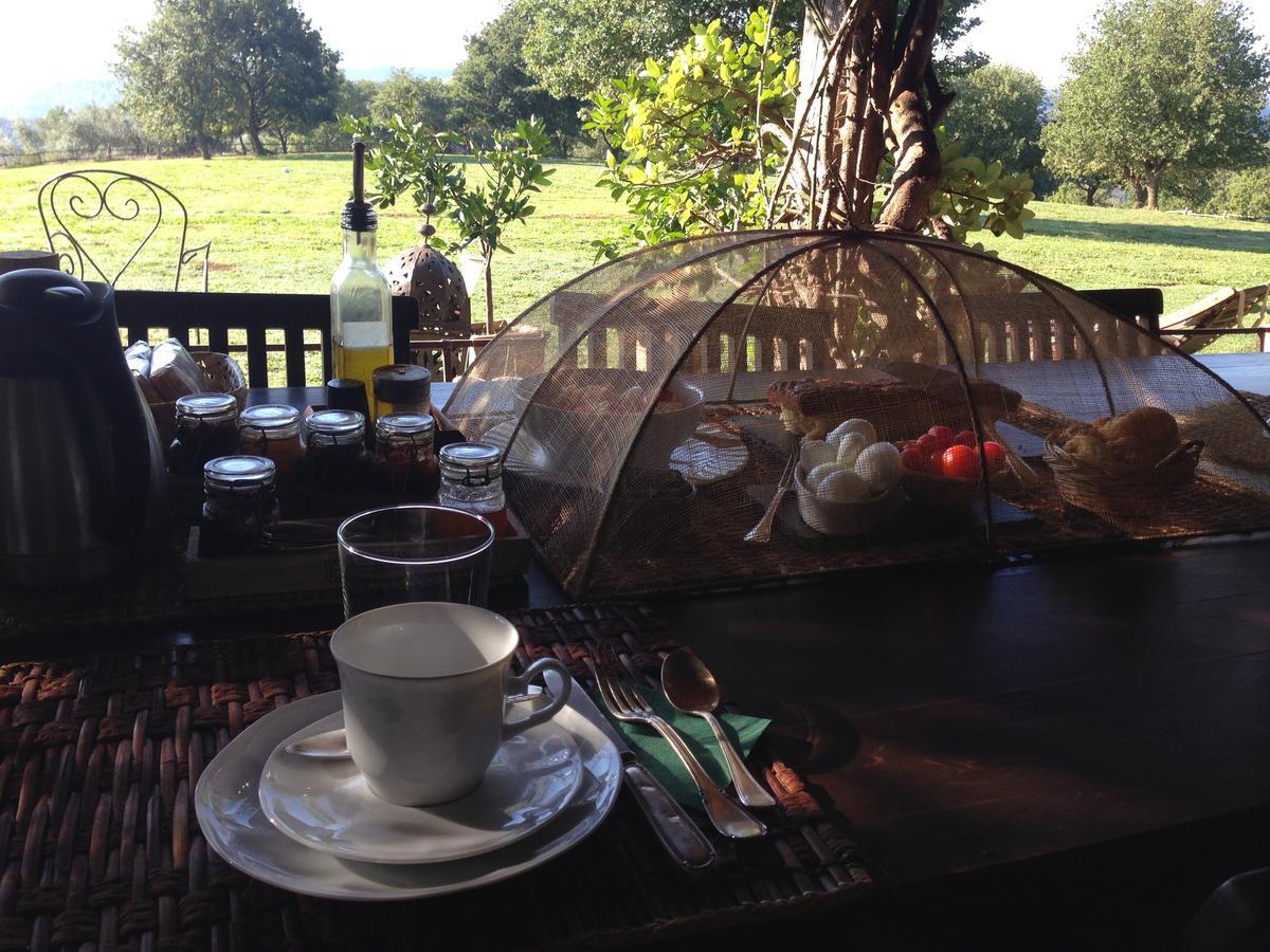 Lubriano Bed And Breakfast Dopo Il Settimo Cielo المظهر الخارجي الصورة